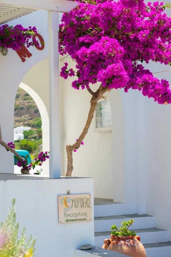 Morpheas Pension Rooms & Apartments Kamares  Екстериор снимка